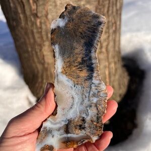 Graveyard (2) point plume agate slab with stand | crystal